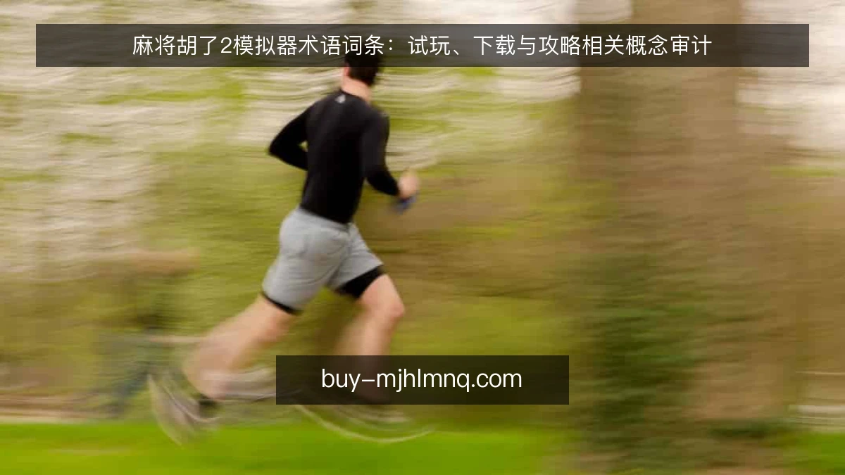 麻将胡了2模拟器术语词条:试玩、下载与攻略相关概念审计